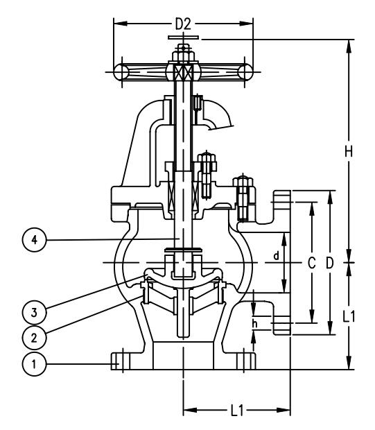 JIS F7312C Marine Cast Steel Angle SDNR Valve